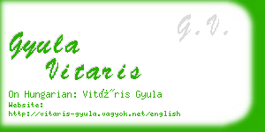 gyula vitaris business card